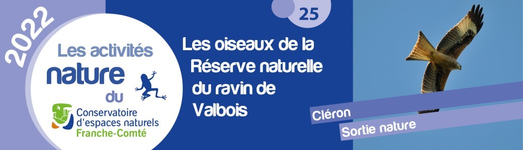 Les oiseaux de la Réserve naturelle du ravin de Valbois Les oiseaux de la Réserve naturelle du ravin de Valbois
