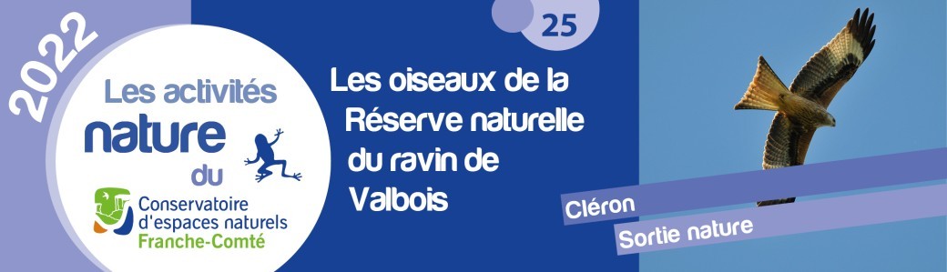 Les oiseaux de la Réserve naturelle du ravin de Valbois