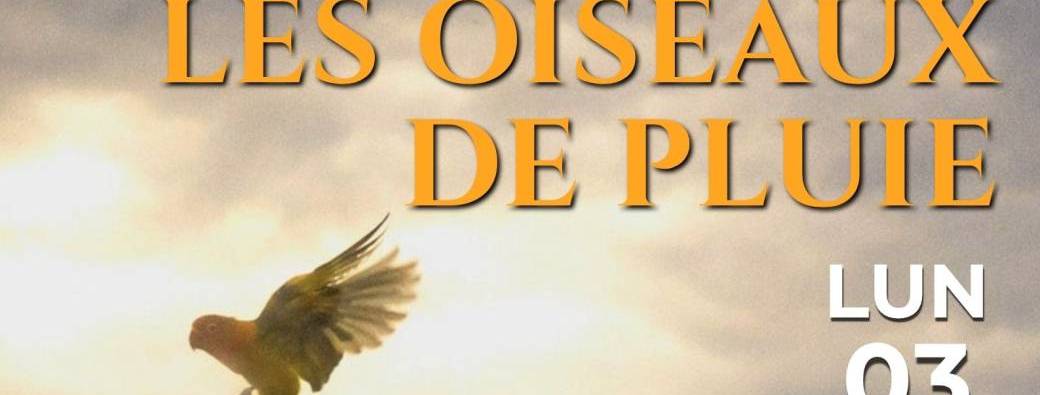 Les oiseaux de Pluie Openmind
