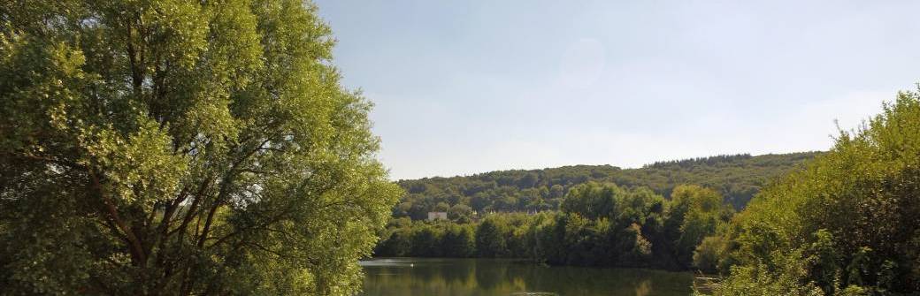 Les oiseaux enchantent votre jardin