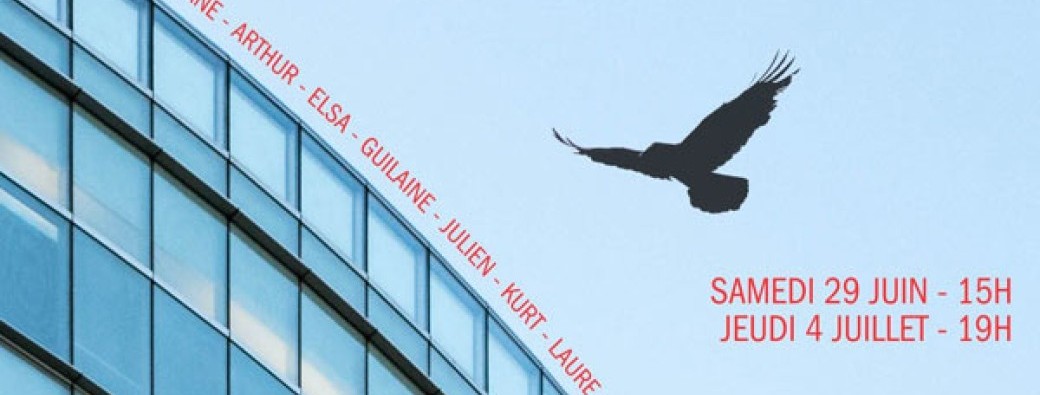 Les oiseaux se crashent pour mourir