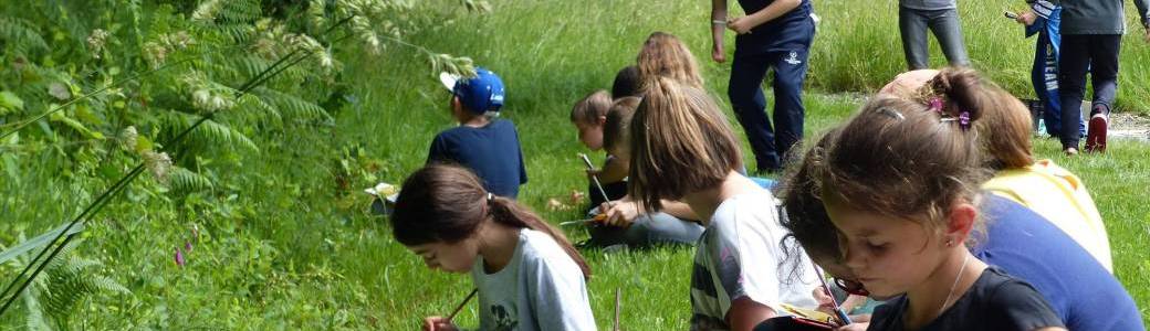 Les petits botanistes 