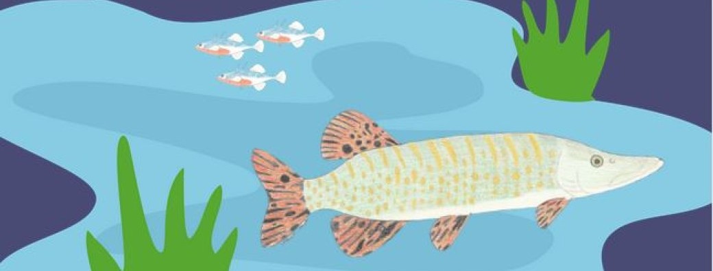 Les petits poissons dans l'eau ... 4-7 ans