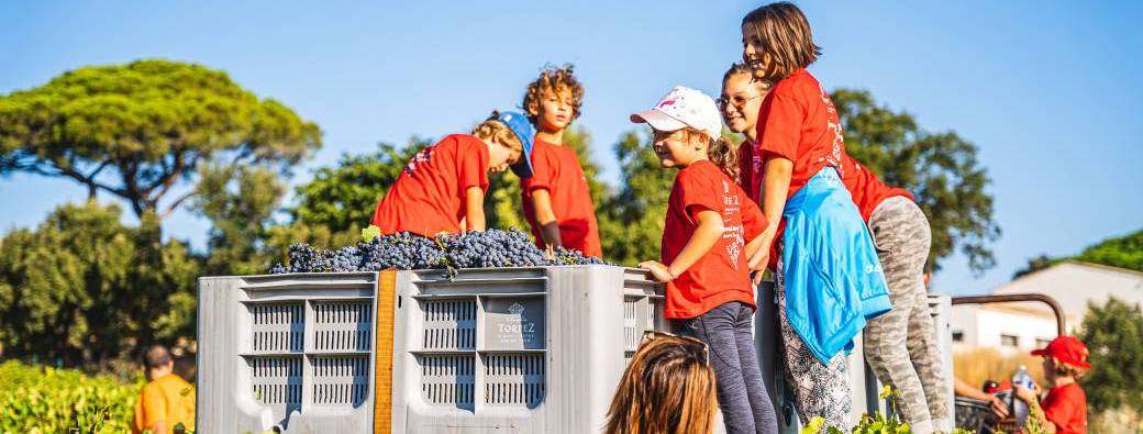 Les Petits Vignerons