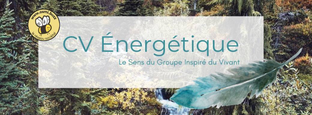 Les pionnier.es du CV Energétique