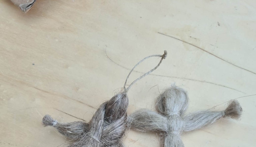 Les plantes à fibre textile