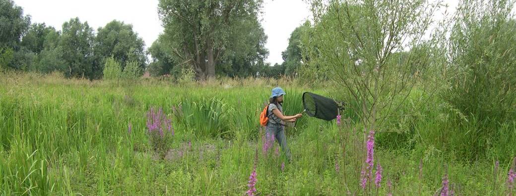 Les Prés d'Amour à Warchin