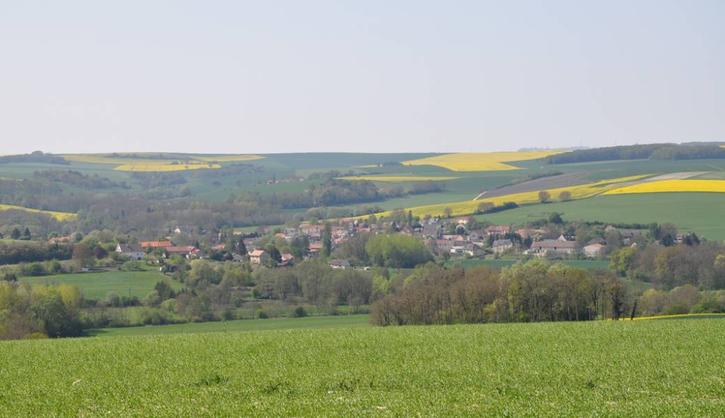 Les randos du Parc : Sarcy