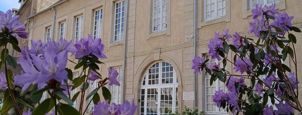 Les rendez-vous du dimanche