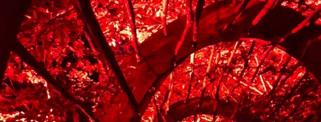 Les Rois d'Osmium