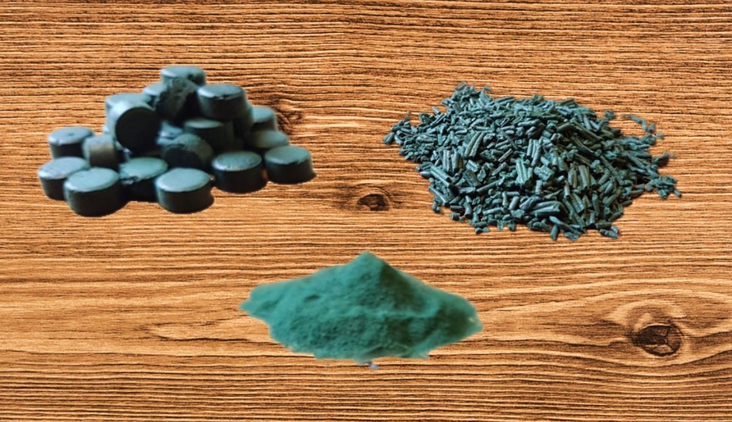 Les secrets de la spiruline