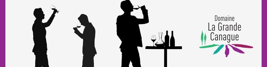 Les sens du vin - Initiation
