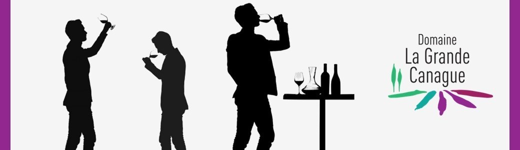 Les sens du vin - Initiation