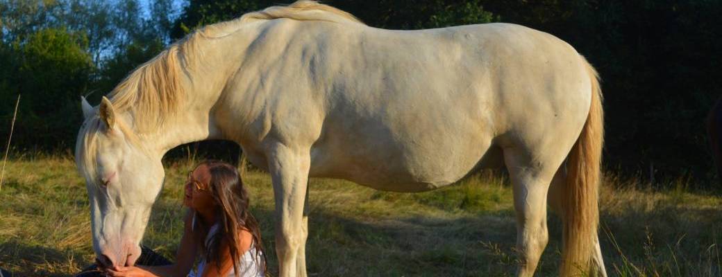 Les signaux de déséquilibres physiques et émotionnels du cheval