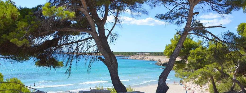 Les sirènes de la modernité, l'homme en perpétuelle dégénérescence 