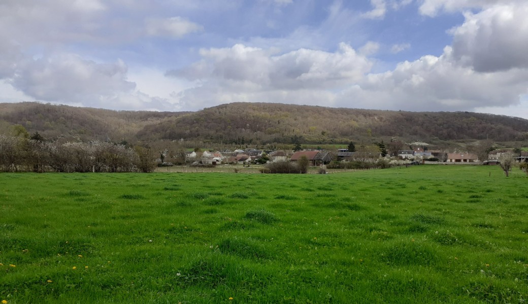 Les sols alluviaux de la vallée de Seine Normande : identification, altérations et restauration