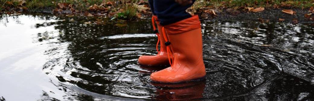 Les tout-petits au terrain de nature à visée éducative