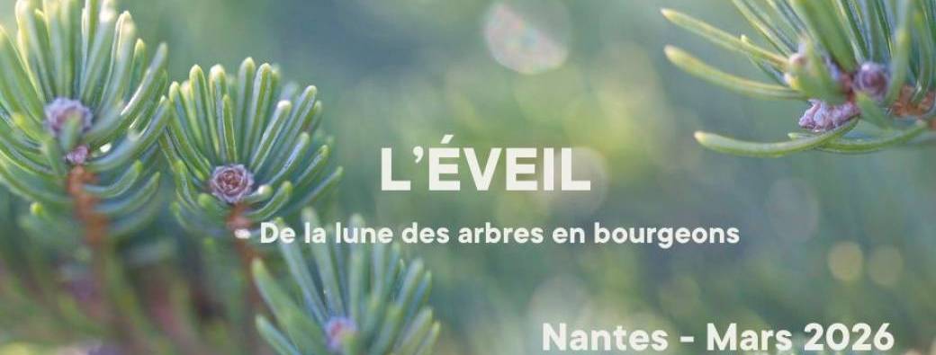 Les Êtres Dansés - L'EVEIL - Danse libre et intuitive