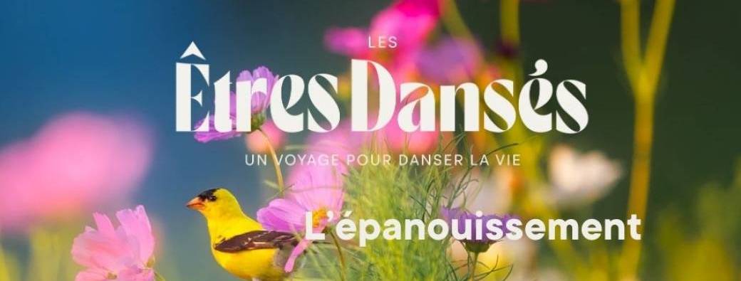 Les Êtres Dansés - L'EPANOUISSEMENT - Danse libre et intuitive
