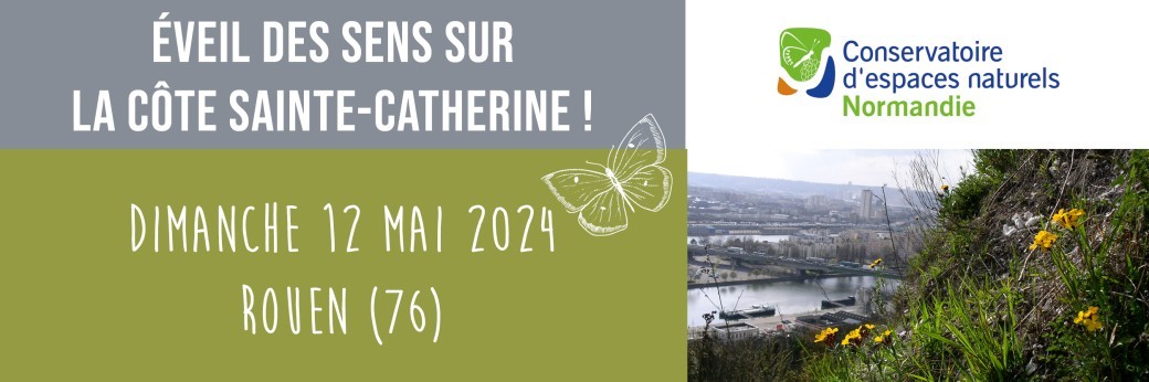 Les trésors de la Côte Sainte-Catherine 12/05/2024