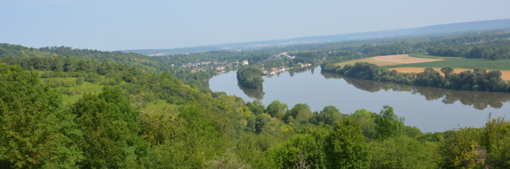 Les trésors des coteaux de Vironvay 5/07/2025