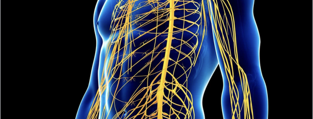 Les troubles neurologiques en Musculo-Squelettique - Fev 2025 - Marseille