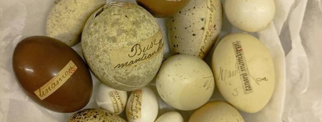 Les vacances des 4/6 ans: A chacun son œuf