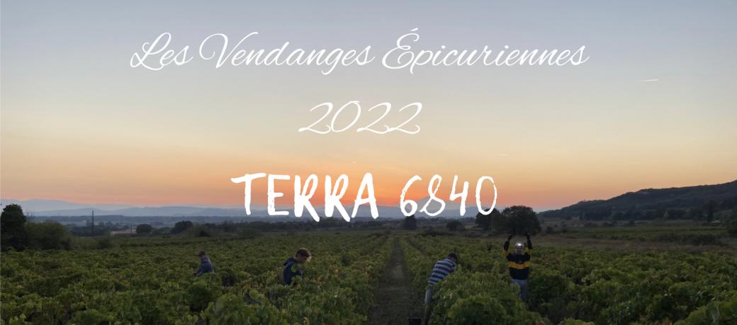Vendanges Épicuriennes 2022 by TERRA 6840
