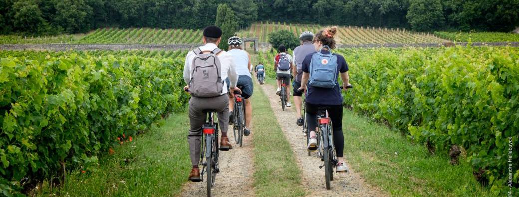 Les vignes à vélo