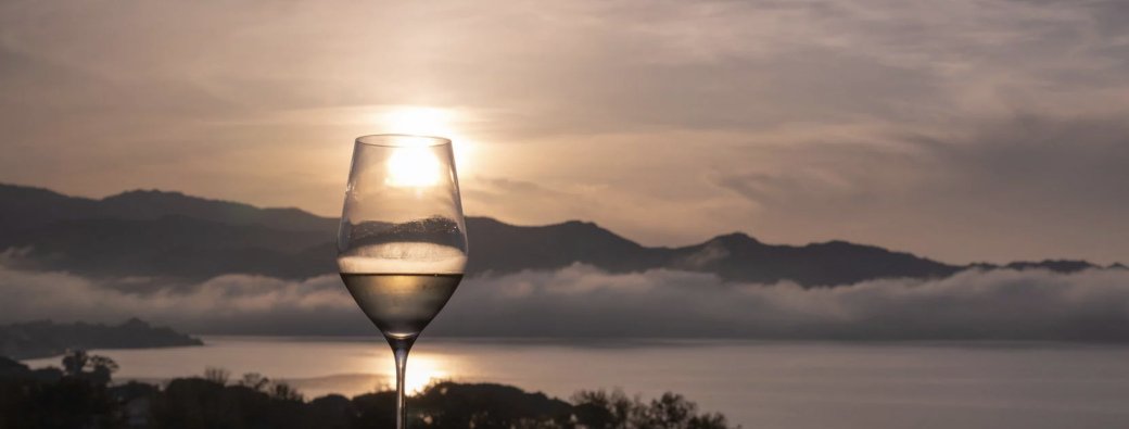 Les vins de l’Île de Beauté - dégustation guidée