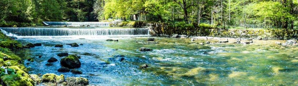 L'eau et la fluidité primordiale 