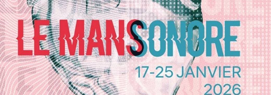 L'étrange pouvoir du bruit : voyage au coeur de la résonance stochastique