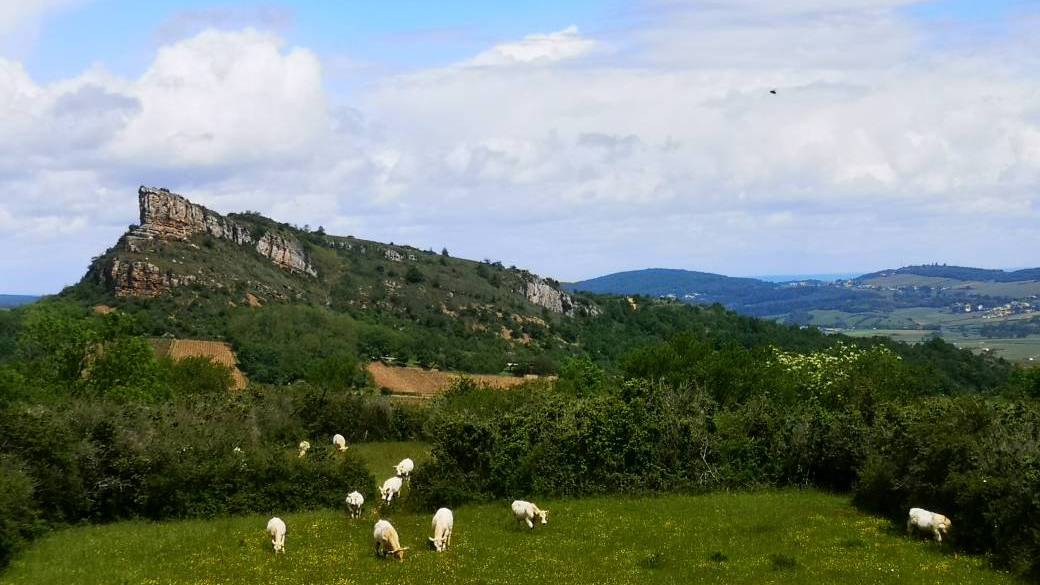 Lever de soleil et petit déjeuner en haut de la Roche de Solutré