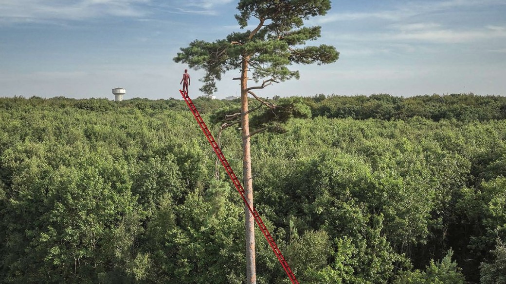 Découverte de la Forêt Monumentale