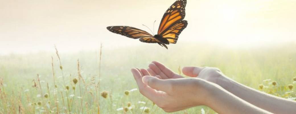 Libères ton enfant Intérieur