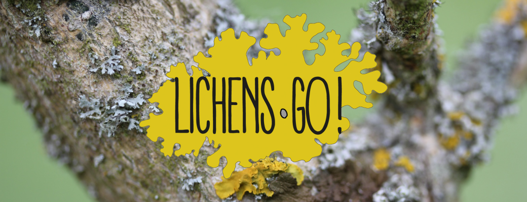 Lichens Go! : évaluez la qualité de l'air dans votre quartier - Bruxelles (Auderghem)