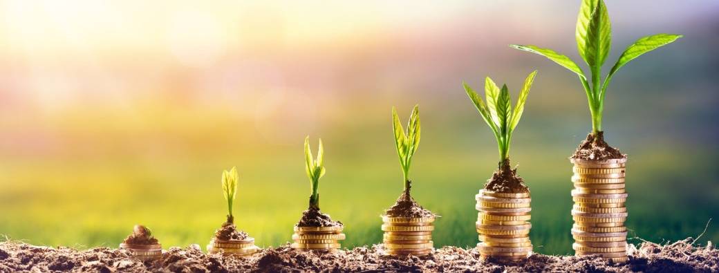 L'immobilier sans contrainte