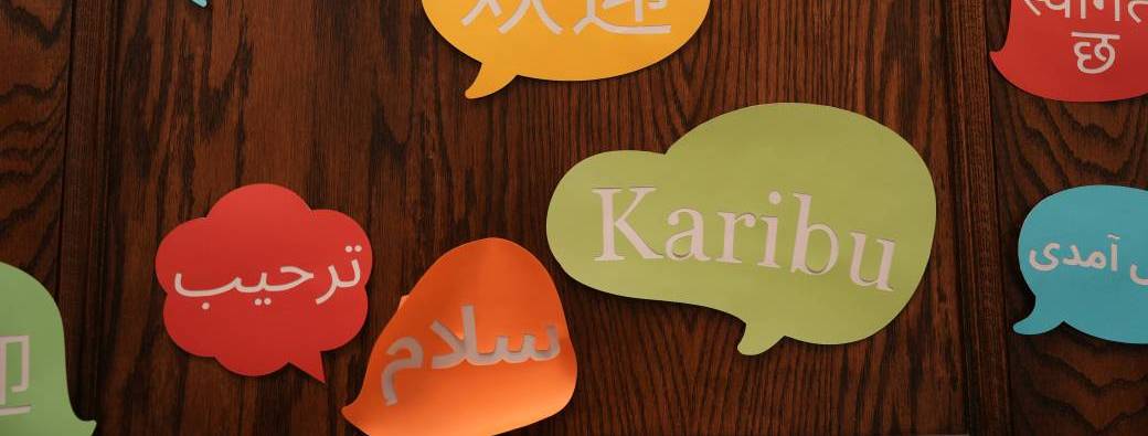 Linguistic identities : Embracing the journey