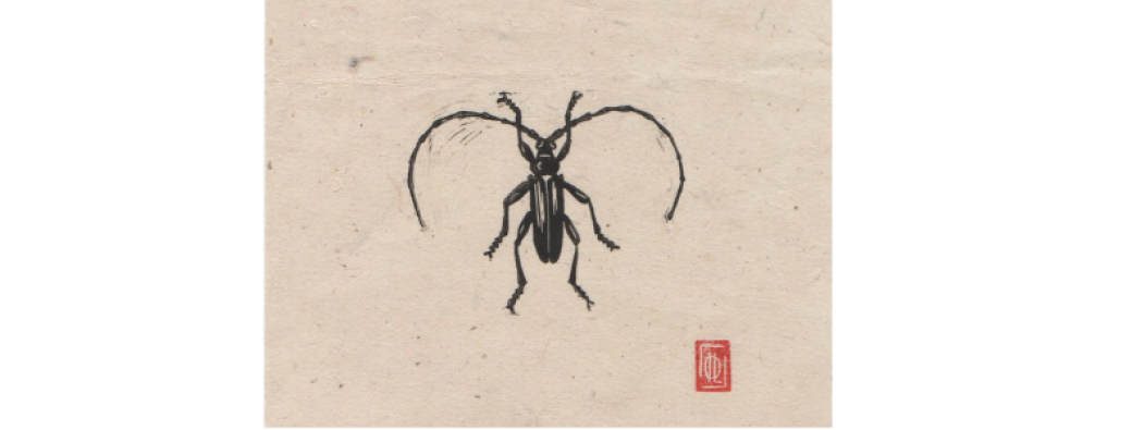 Linogravure 