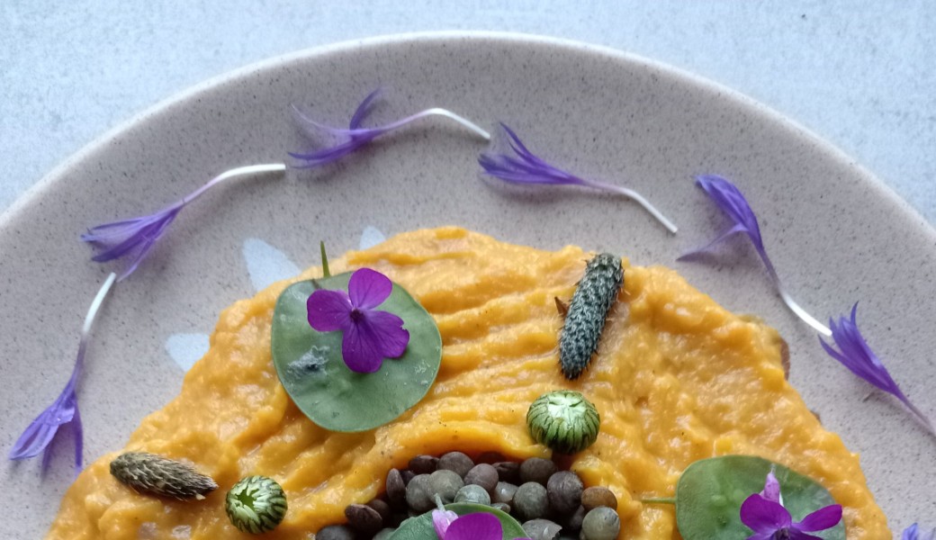 L'intérêt des plantes sauvages dans l'assiette