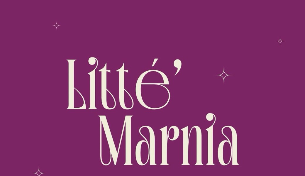 Litté'Marnia - Salon du livre et de l'imaginaire / Sézanne (1ère Edition)