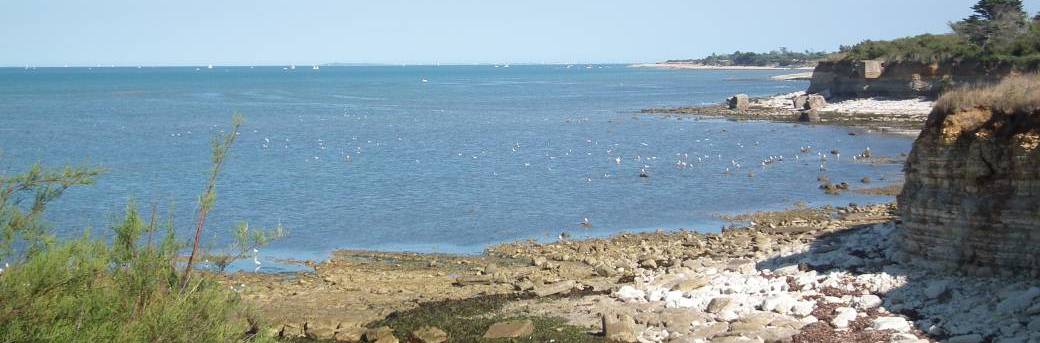 Littoral atlantique : s’adapter aux risques, une histoire ancienne