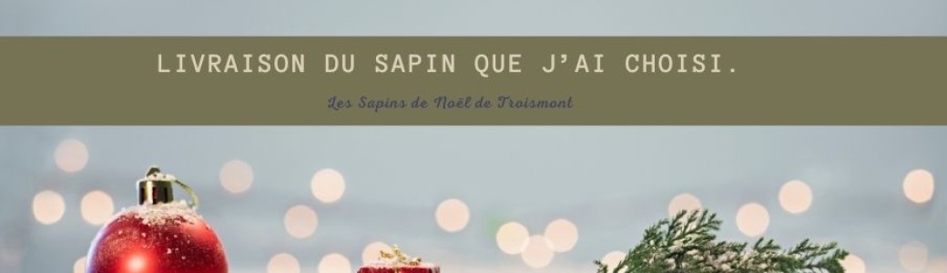 Livraison du sapin que j'ai choisi moi-même.