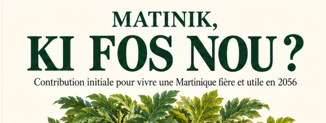 Livre  - Matinik, Ki Fos Nou ?