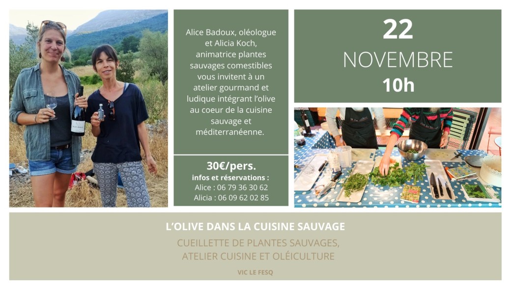 L'olive au cœur de la cuisine sauvage