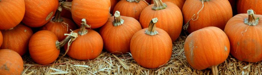 Ateliers créatifs - Halloween - LORIENT