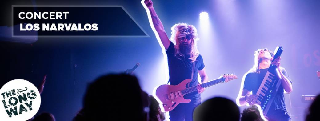 Los Narvalos | Electro Rock Funk | Grenoble