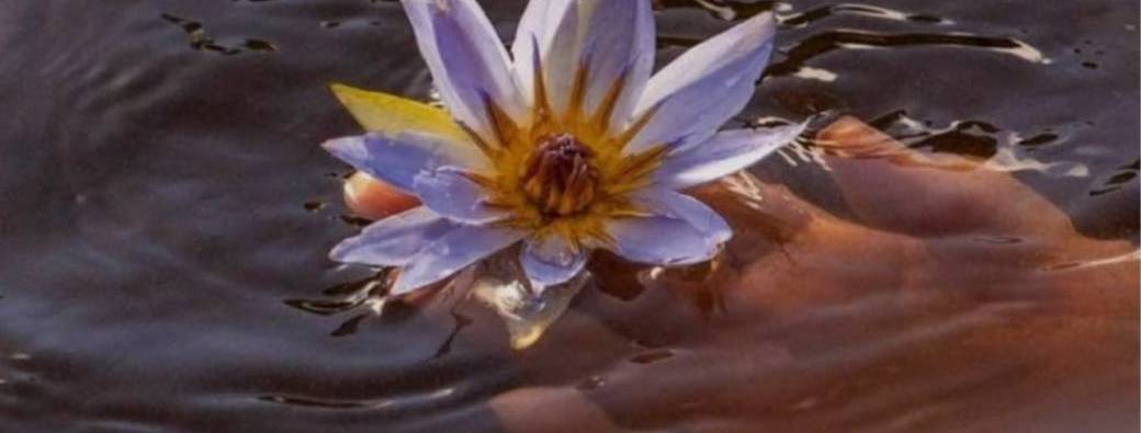 Lotus Dieta in Egypt - The return of SESHEN - 11 days Pilgrimage 