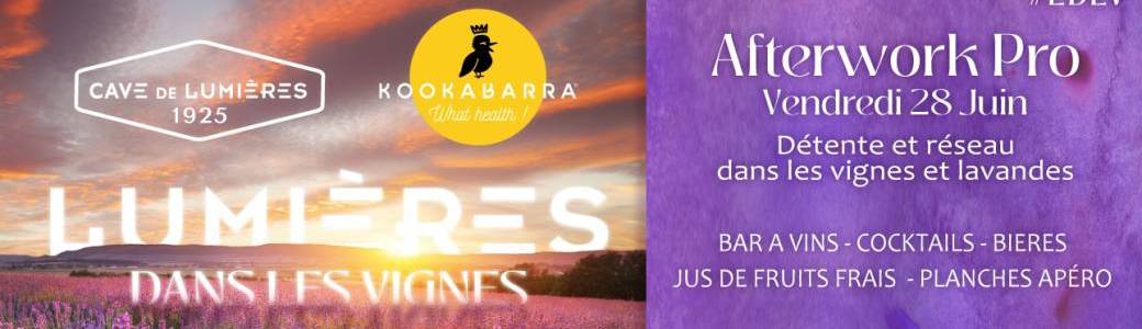 LUMIERES DANS LES VIGNES - AFTERWORK  RESEAU PRO-