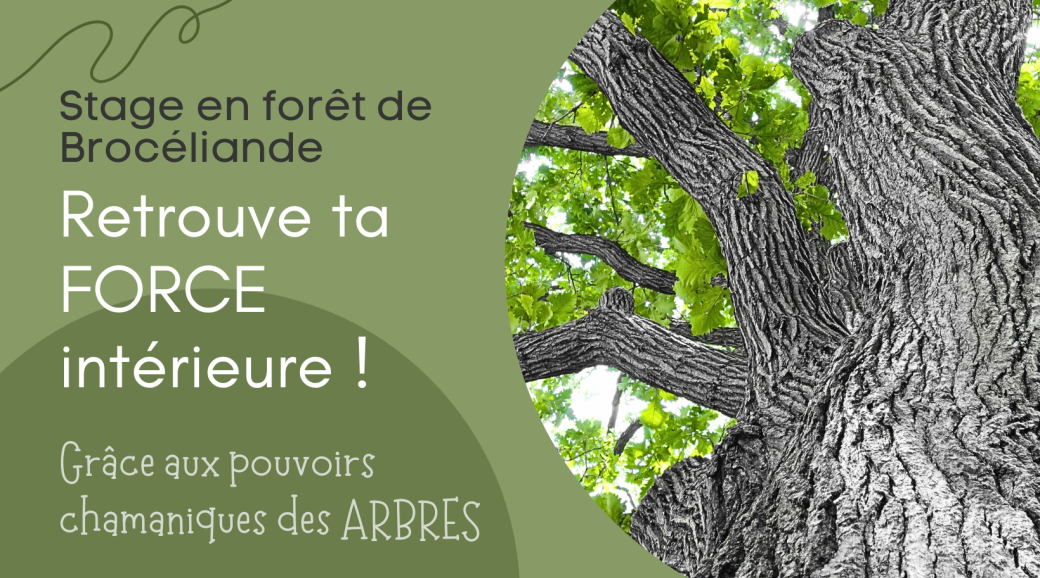 LUMIN'ESSENCE - Stage de 2 jours - Retrouve ta force intérieure !
